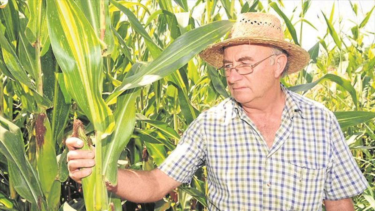 Josep Pamiés es un famoso agricultor