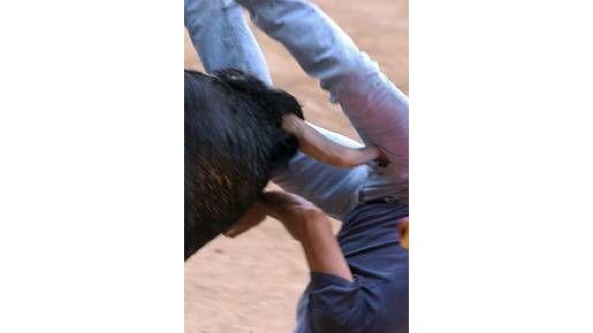 El joven Raúl Hermosilla fue corneado por un toro en el muslo
