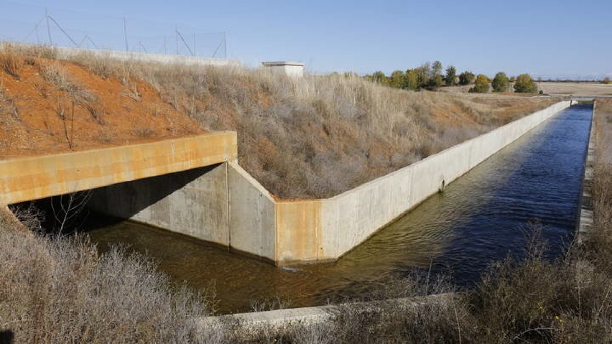 OBRAS DE TRANSFORMACIÓN DE REGADÍO EN LOS SECTORES XVIII, XIX Y XXI DEL CANAL DE PAYUELOS. MARCIANO PÉREZ