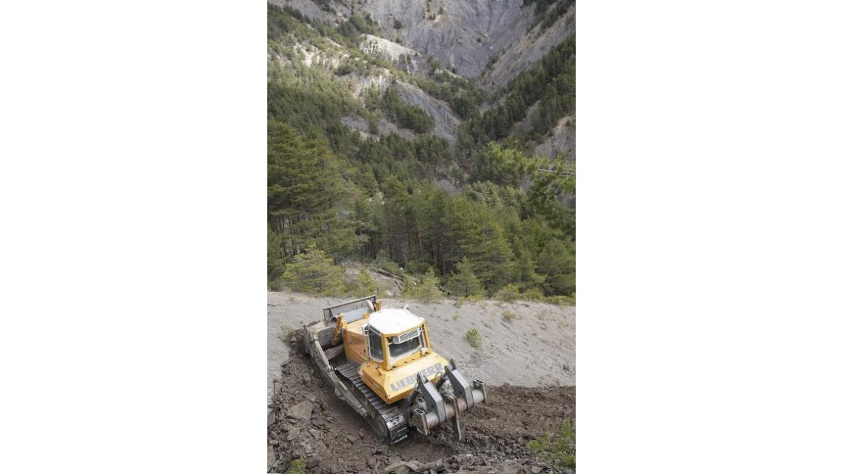 Un bulldozer abre camino al lugar donde se estrelló el avión.