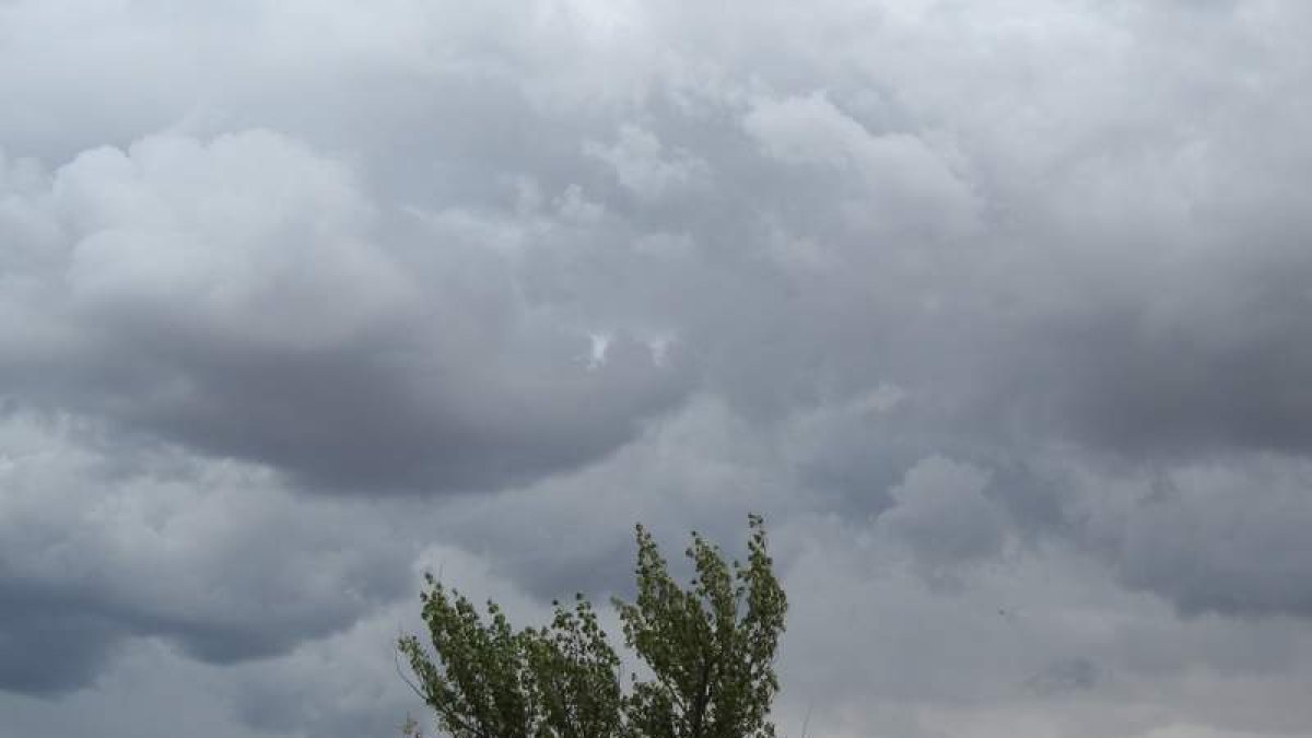 La nueva plataforma incrementa la información sobre los datos meteorológicos.