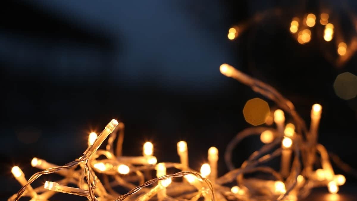 ¿Qué luces LED son perfectas para regalar esta Navidad 2020?