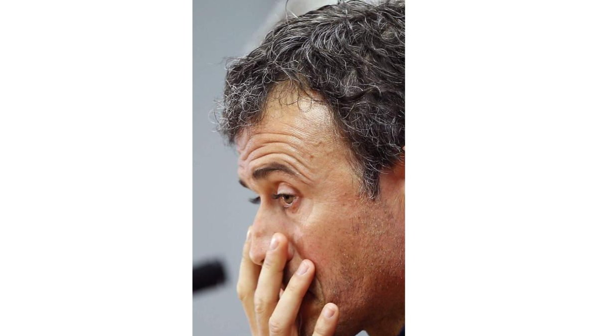 ANDREU DALMAU