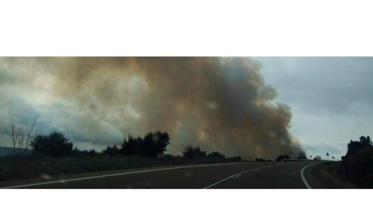 El fuego provocó una densa humareda que se vislumbraba desde varios puntos de la provincia. PLANILLO