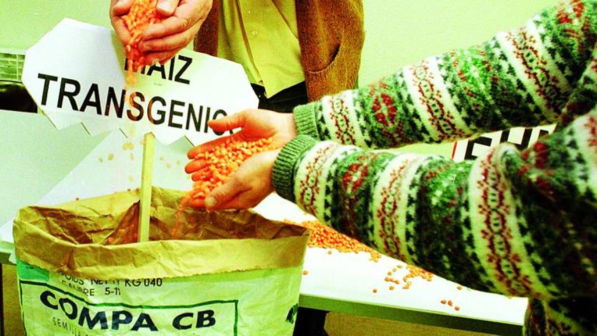 La región que más transgénicos cultivó en el año 2014 fue la Comunidad Autónoma de Aragón.