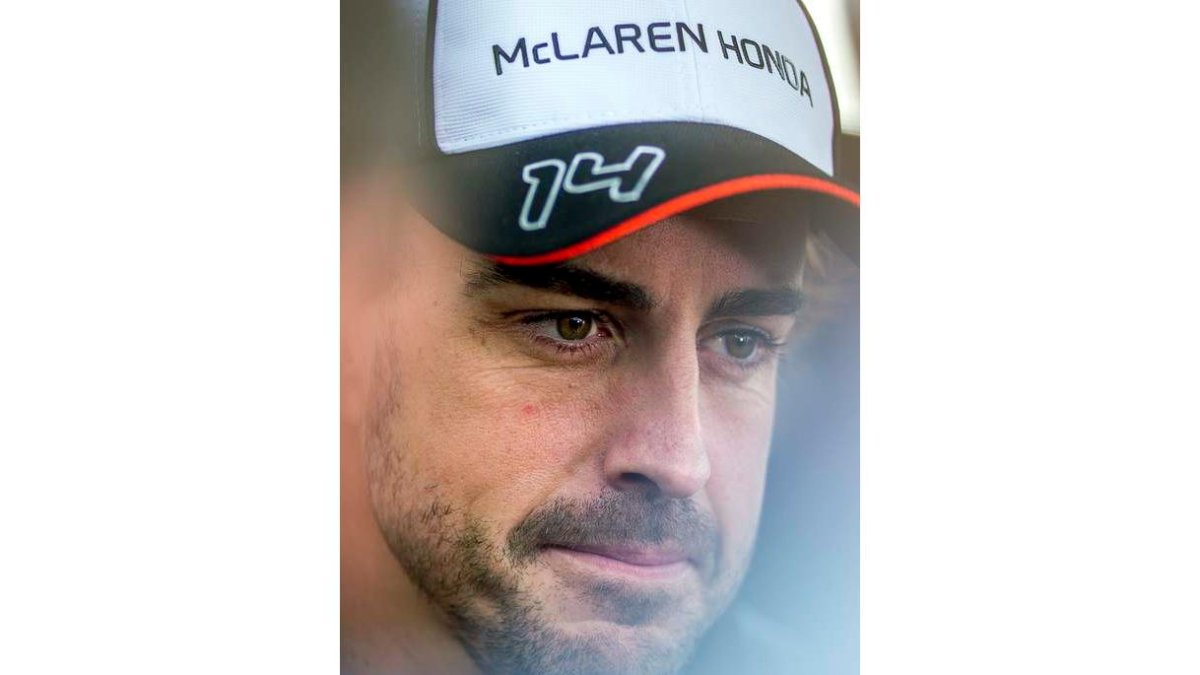 Fernando Alonso. SUKI