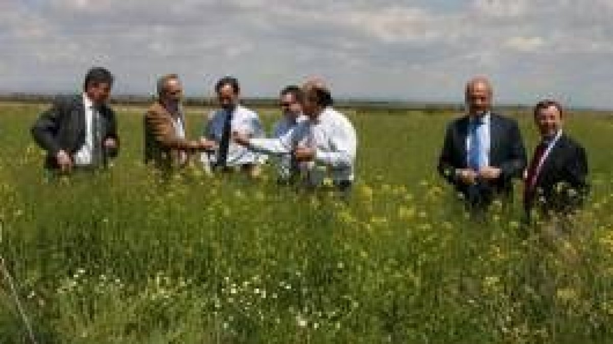 Directivos de Acciona y Repsol, representantes del Gobierno y Ucogal, en un cultivo de colza
