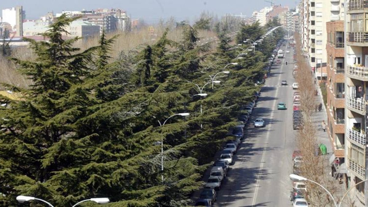 La Avenida de la Facultad.