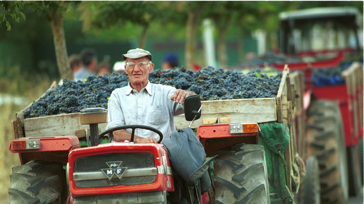 AGricultor berciano