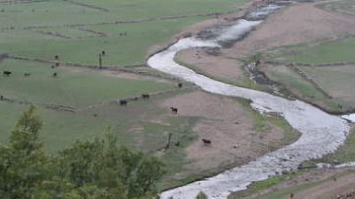 Avutarda, ave con área protegida al sur de León.
