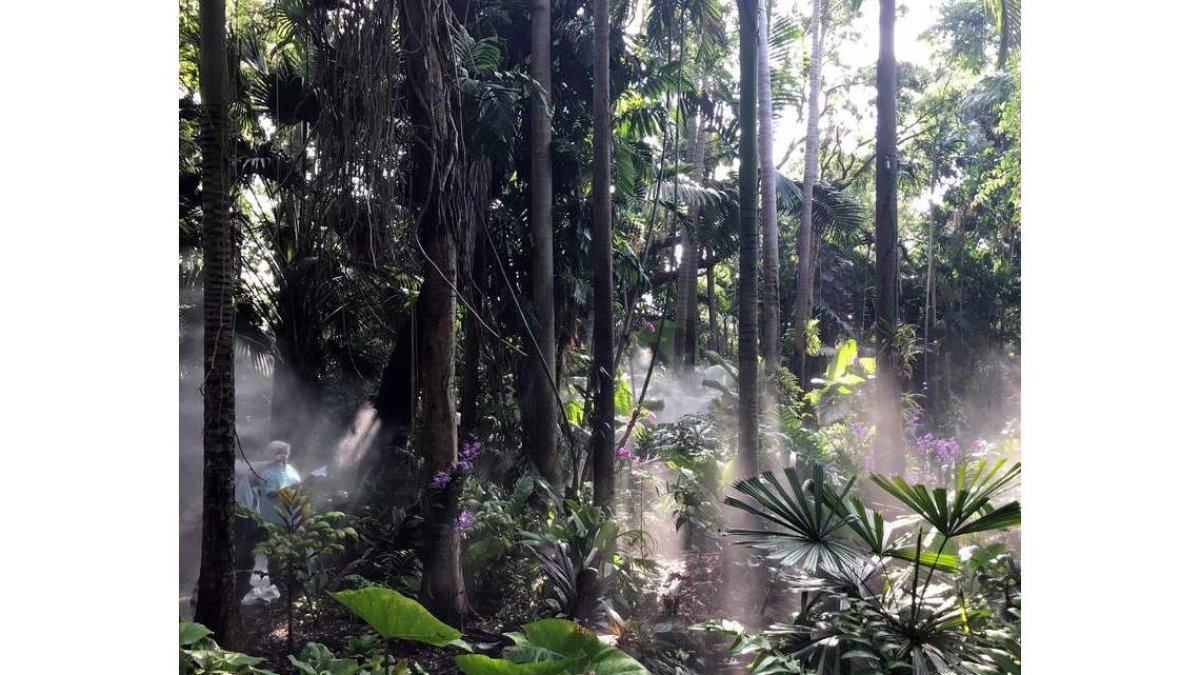La selva en el Jardín Botánico Tropical Fairchild situado en Coral Gables. ANA MENGOTTI