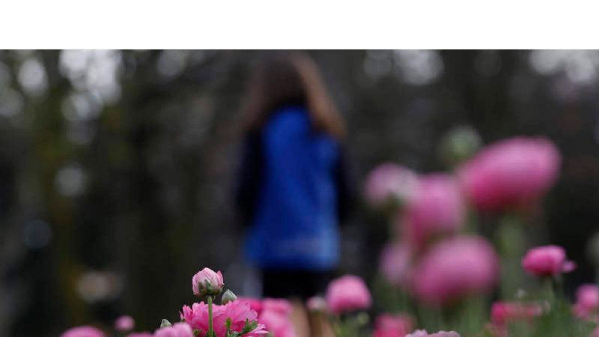 La pequeña sufrió coacciones, agresiones verbales y aislamiento social el curso pasado. FERNANDO OTERO
