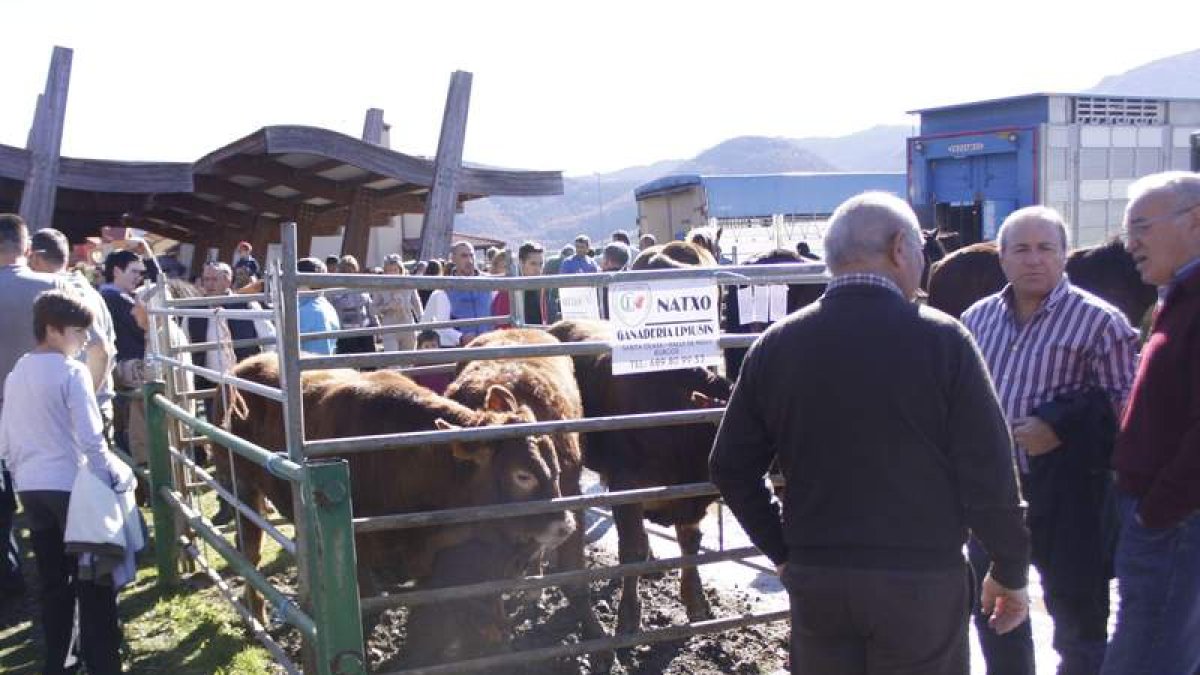 Los premios del concurso ganadero estuvieron muy repartidos.