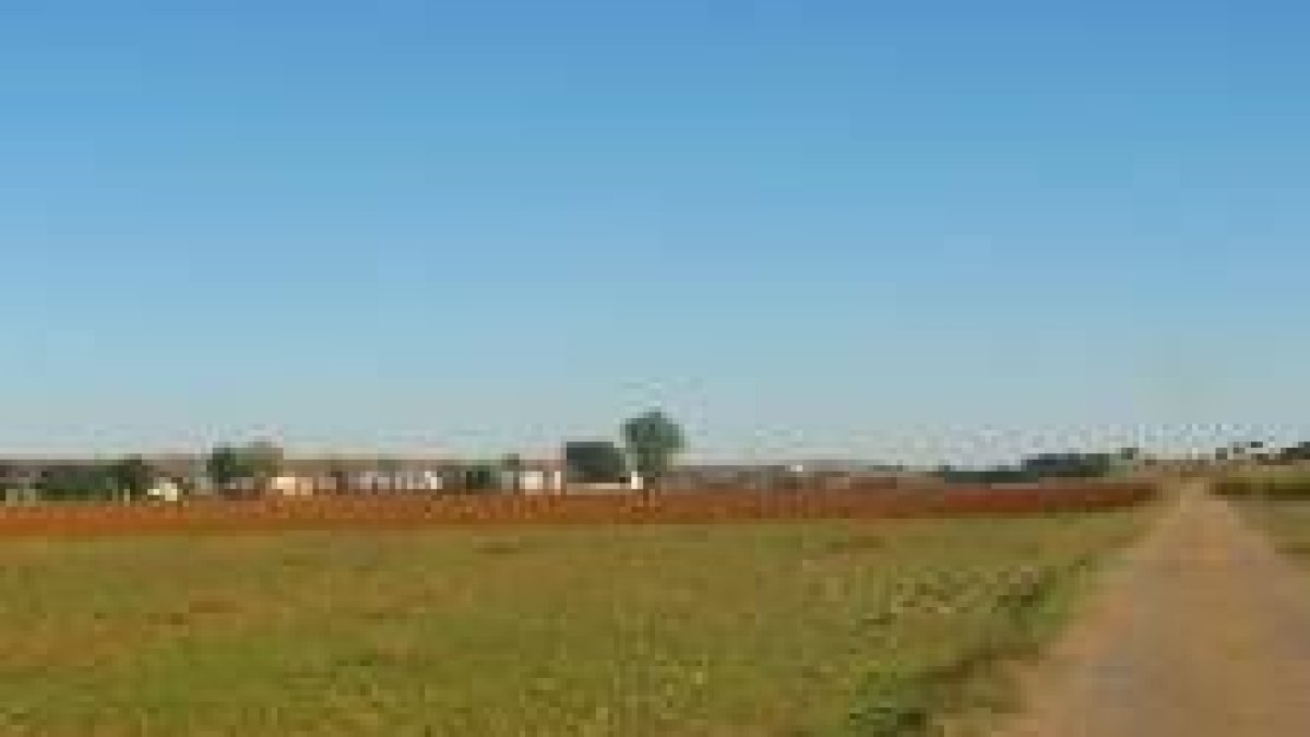 Una imagen de los terrenos que ocupará el polígono industrial, incluidos en la zona de protección