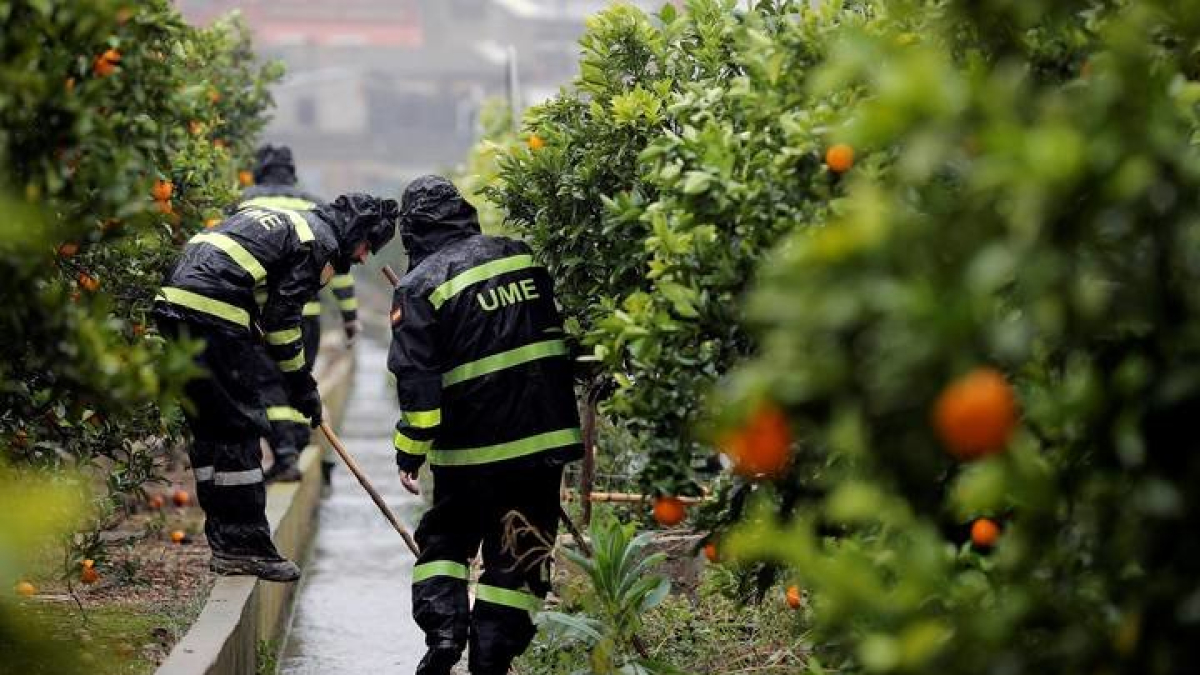 La Unidad Militar de Emergencias (UME) y el escuadrón de caballería de la Guardia Civil, se han incorporado este martes en la localidad valenciana de Manuel y sus alrededores a la búsqueda de la joven Marta Calvo. EFE/Manuel Bruque