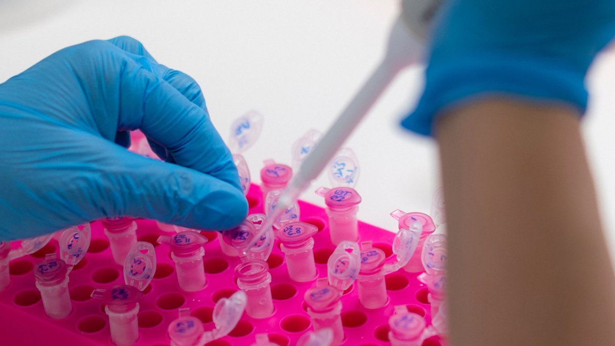 GRAFCAT8221 Amer (GIRONA) 30/03/2023.- La compañía farmacéutica Hipra establecida en la población de Amer (Girona), presentó hoy jueves una vacuna española 