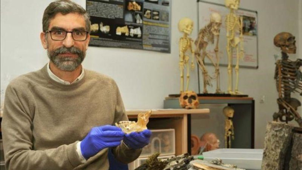 El profesor Antonio Rosas, con algunos de los restos de El Sidrón.