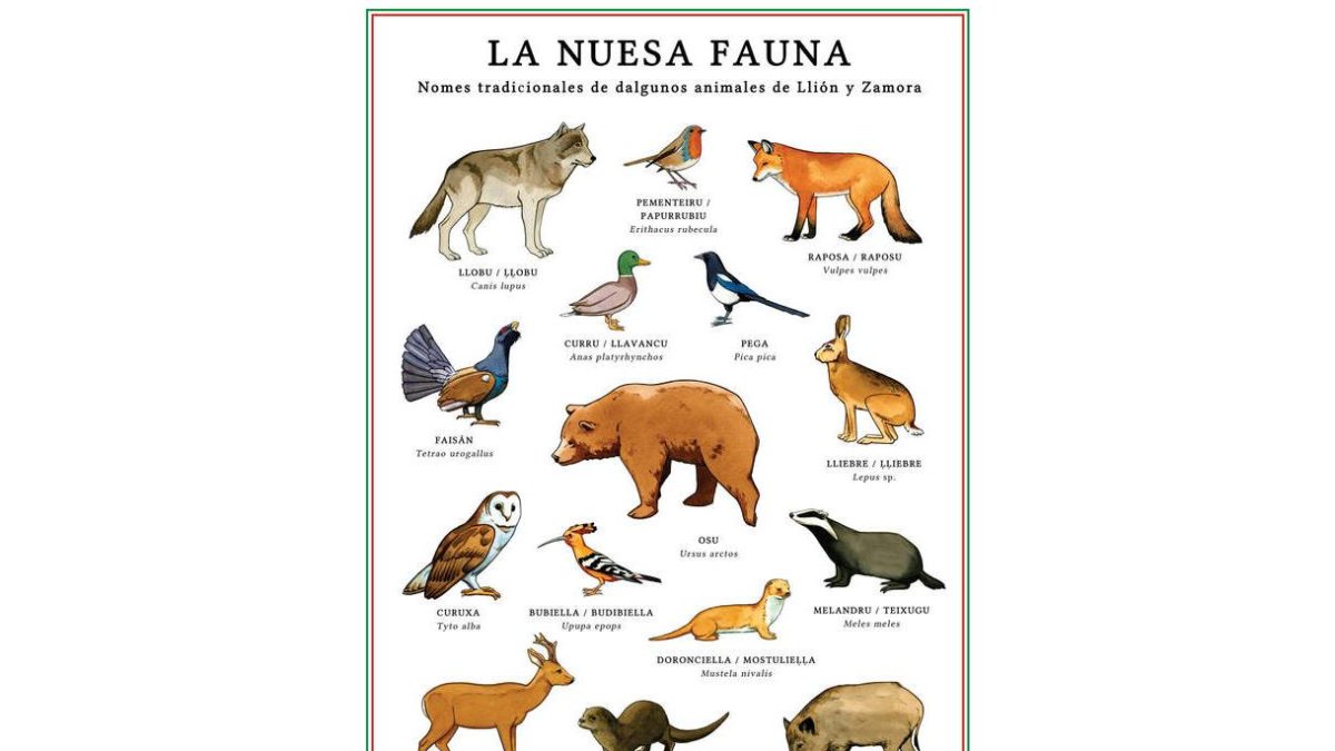 El cartel ‘La nuesa fauna’.