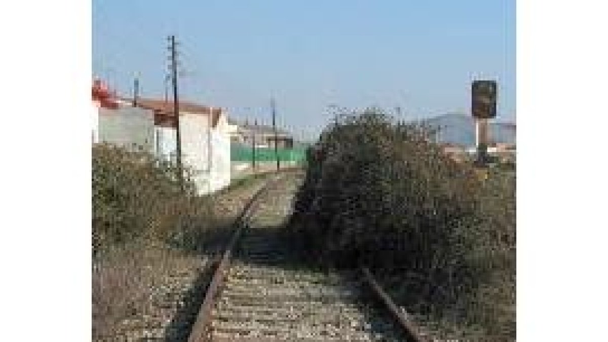 La maleza es una constante en el recorrido de la vieja Vía de la Plata