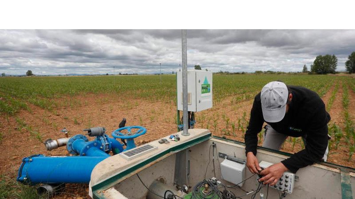Iriego innova en las aplicaciones que ofrece a sus agricultores para gestionar sus cultivos desde el móvil y analiza los datos. JESÚS F. SALVADORES