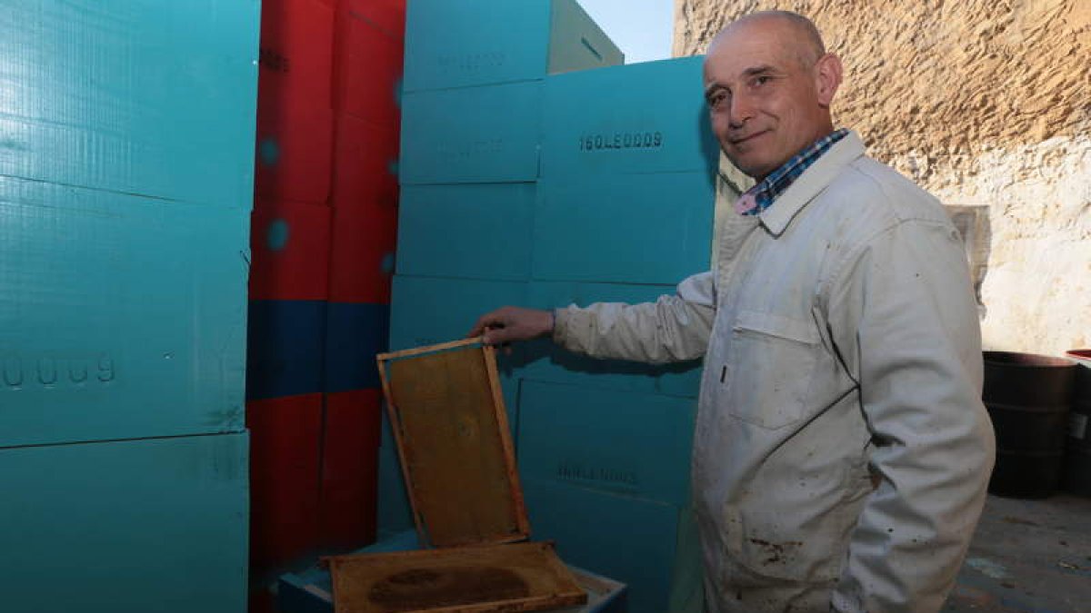 Juan Antonio Panera sujeta un cuadro junto a los cajones que prepara para ampliar su explotación.