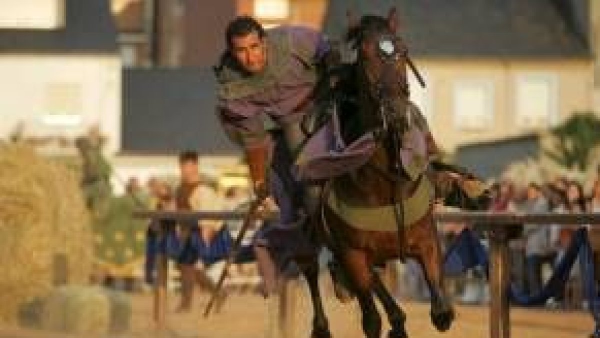 Parte de los caballos de la explotación son utilizados para las Justas