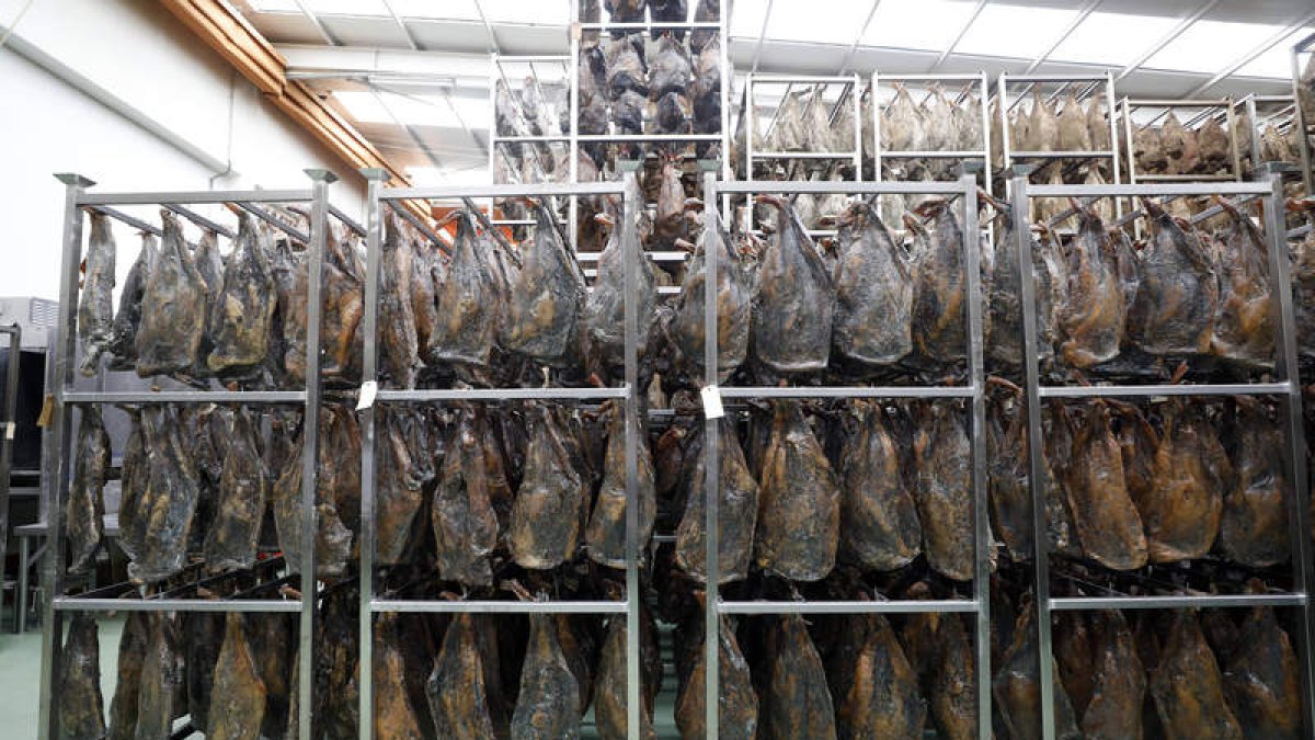 Los productos agroalimentarios continúan al alza en mercados exteriores. MARCIANO PÉREZ