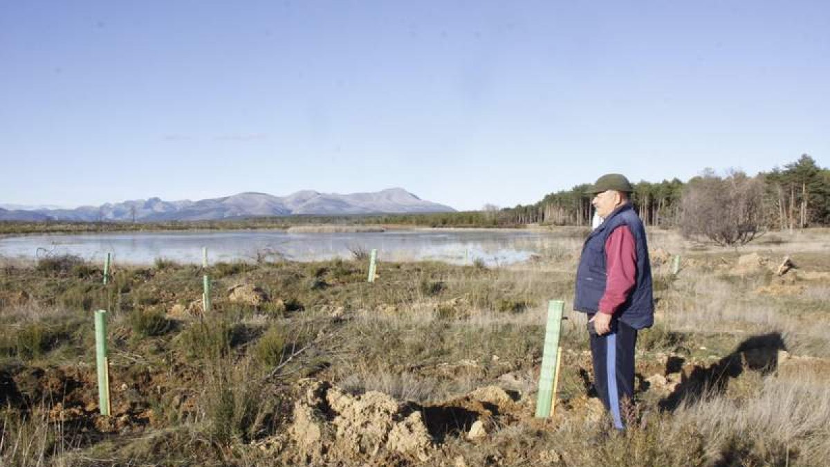 Eladio Taranilla junto a los nuevos árboles plantados en la zona de La Laguna. CAMPOS