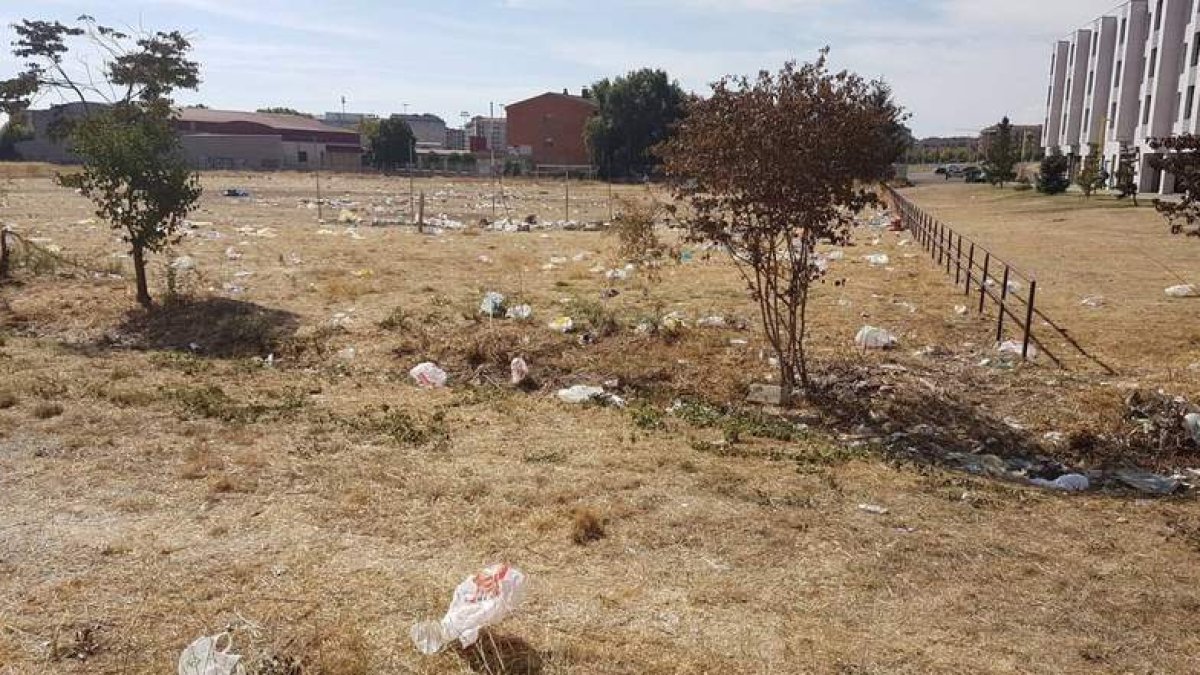 En la zona del Campus se evidencian los restos del botellón universitario. DL