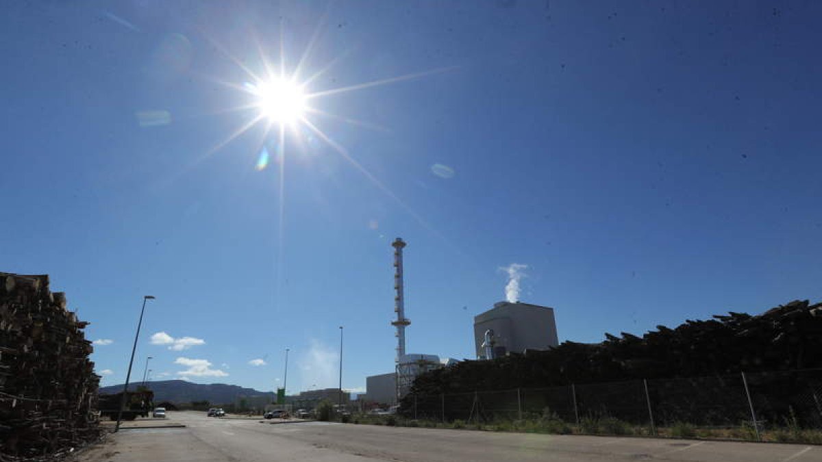 Madera apilada y parte de las instalaciones de la planta de producción eléctrica mediante biomasa de Cubillos del Sil. ANA F. BARREDO