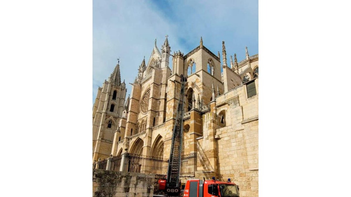 bomberos león