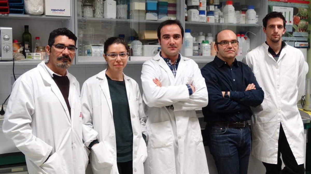 Los investigadores Paulo Henrique, Sara Mayo, Álvaro Rodríguez, Pedro Casquero y Guzmán Carro.