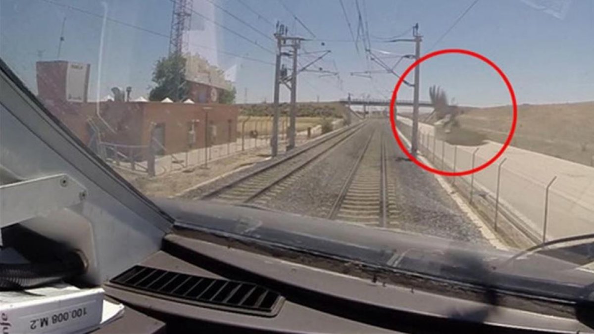 Captura de imagen de una grabación de vídeo instalada en un tren AVE . La flecha roja muestra un pájaro momentos antes de la colisión.