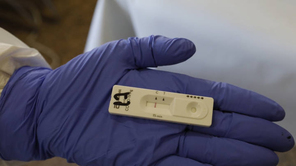 pcr