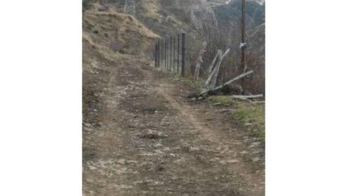 Leyenda de los pastos pirenaicos más exclusivos de la provincia