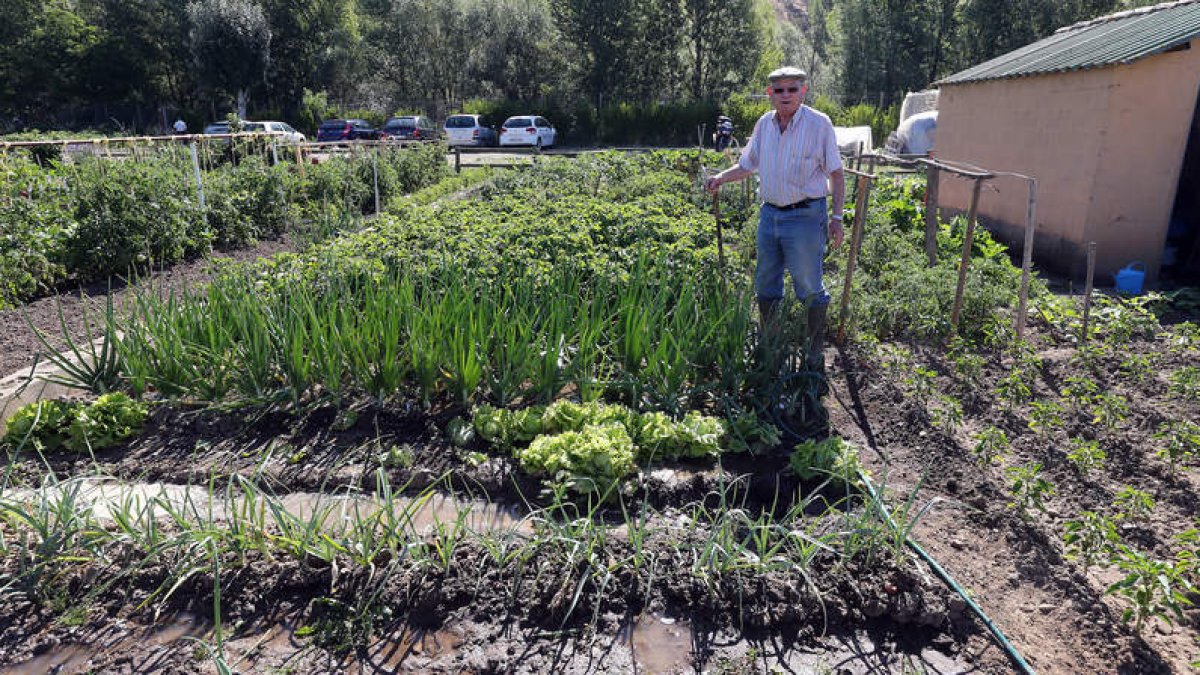 Los huertos de La Candamia arrancaron hace casi 20 años con 75 parcelas y ya son todo un referente con cerca de doce mil metros cuadrados de superficie cultivada.