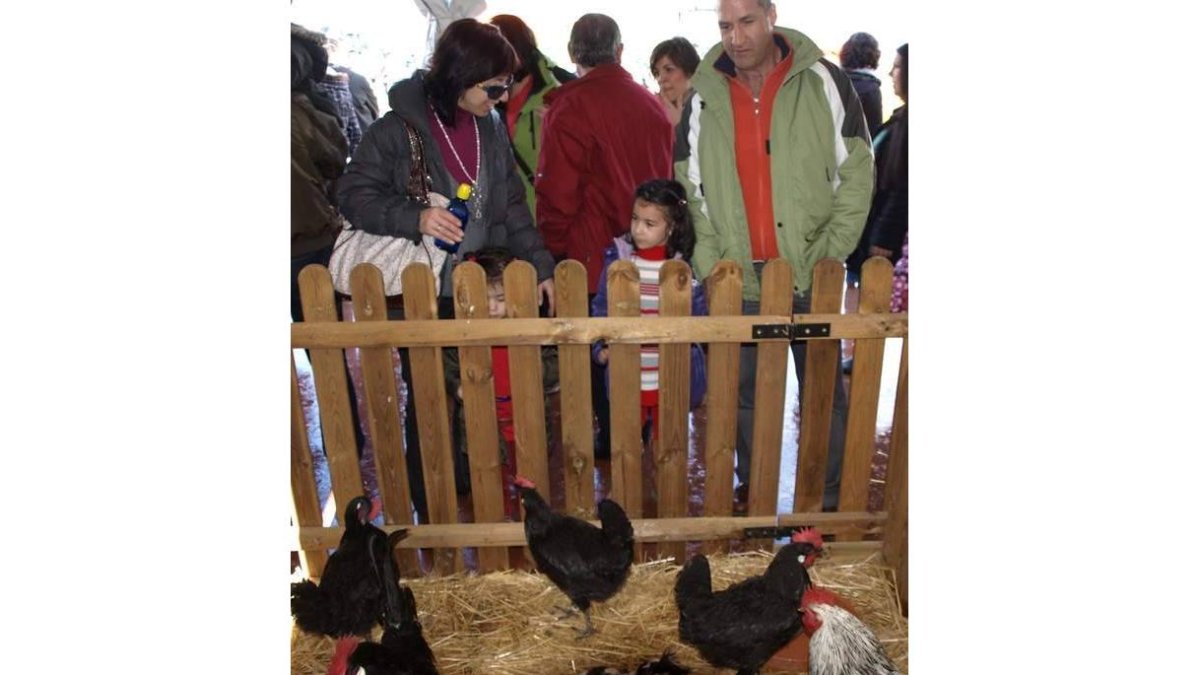 La granja es uno de los mayores atractivos para los niños.