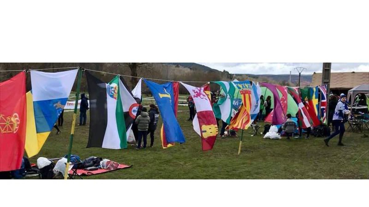Las banderas de las comunidades autónomas de toda España se lucieron con brillantez en el municipio roblano. PLANILLO