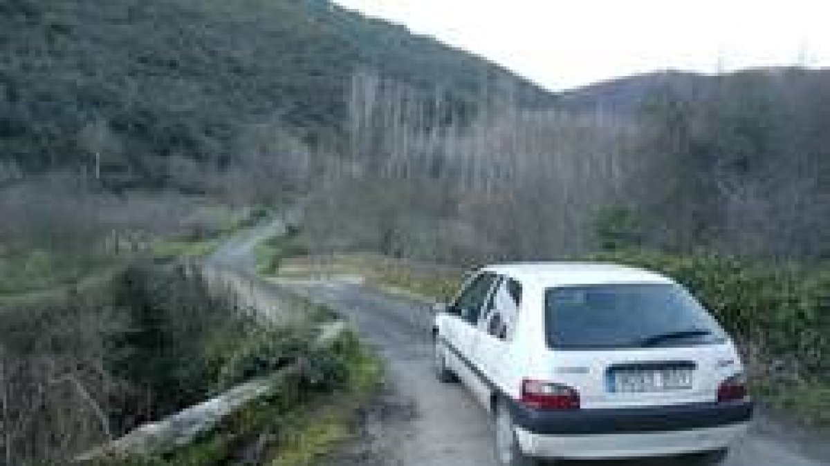 Imagen de la carretera que une San Vicente con Vega de Espinareda