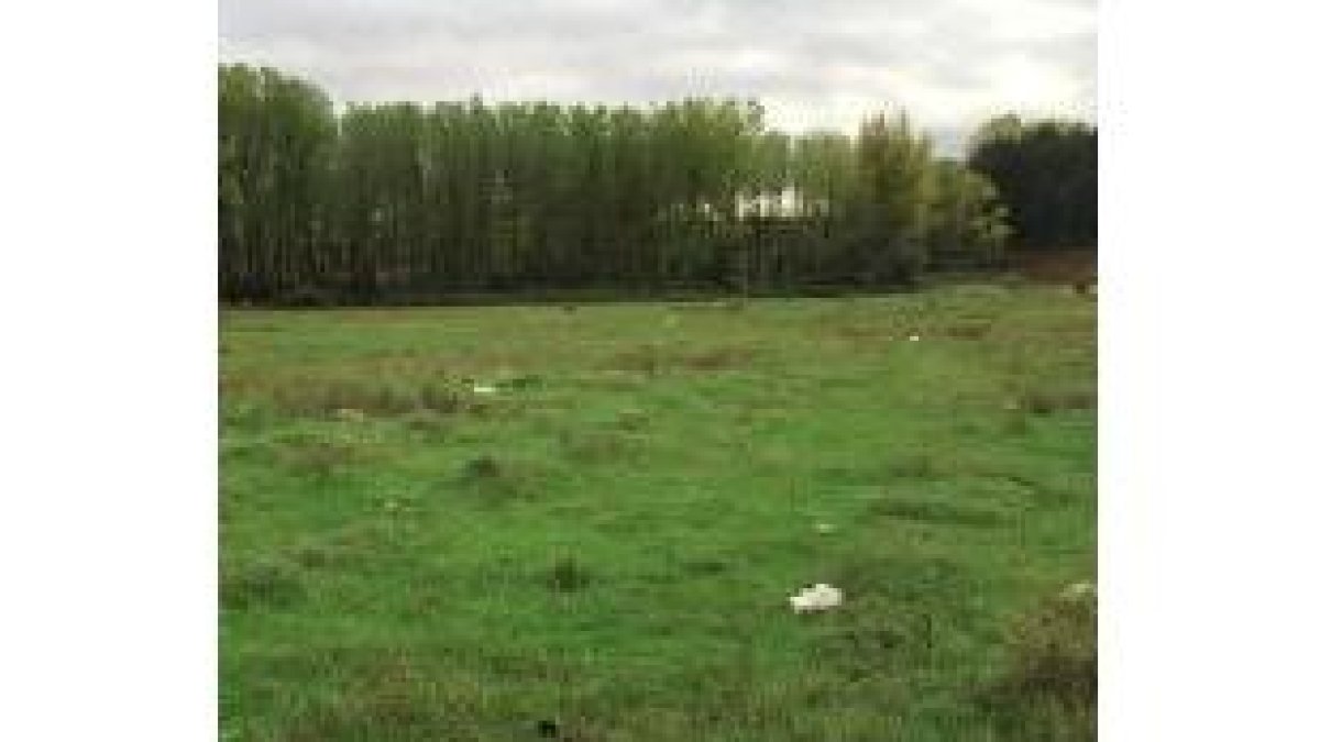 Vista parcial de los terrenos de Armunia en los que se ubicará el futuro parque empresarial de León