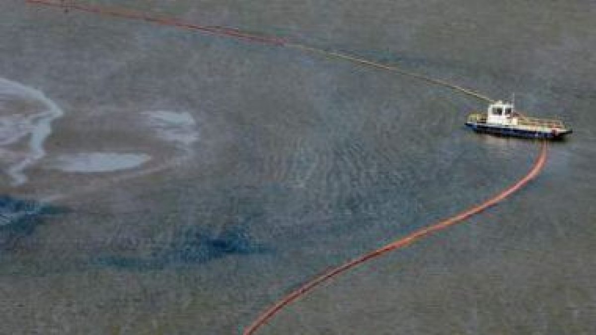 Una de las barreras de protección instaladas alrededor de una pequeña isla en Port East para el crud