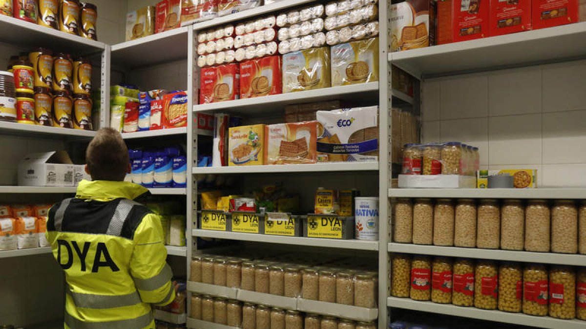 Despensa con los alimentos disponibles. FERNANDO OTERO