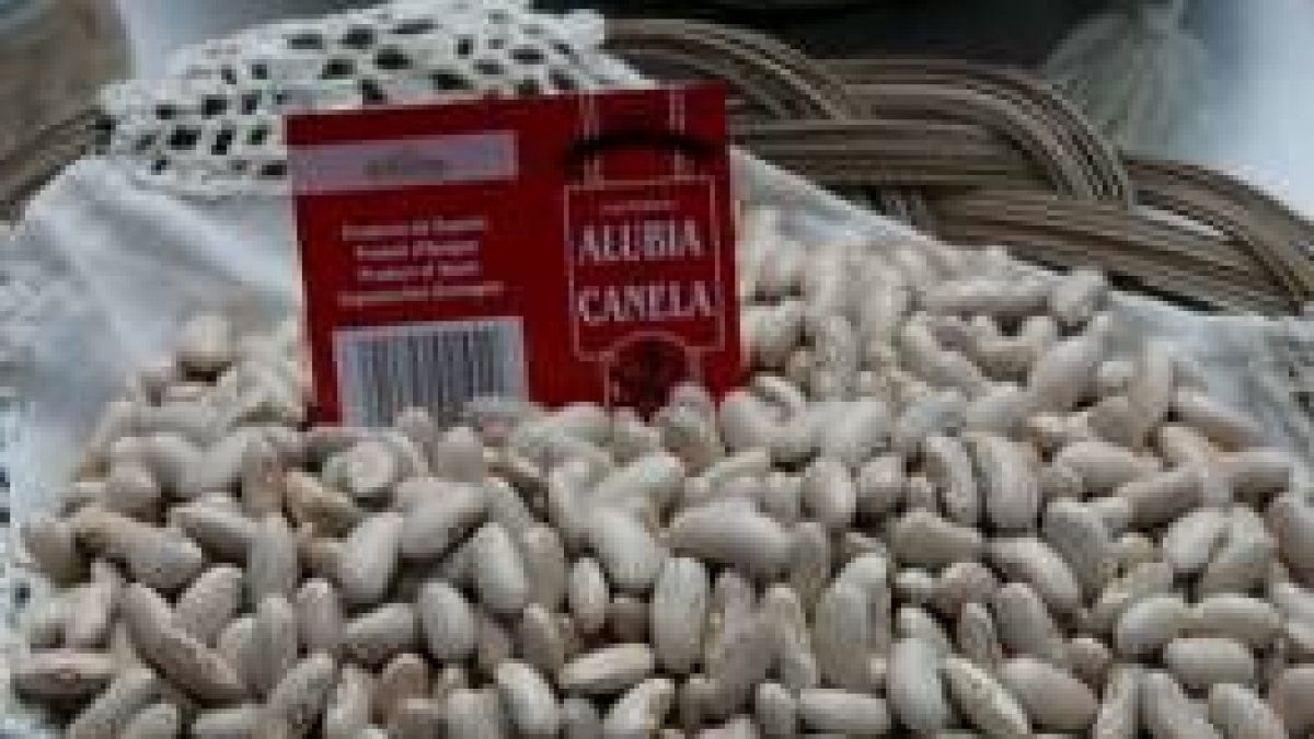 La alubia canela de La Bañeza-León, en la imagen, es una de las variedades amparadas por el consejo