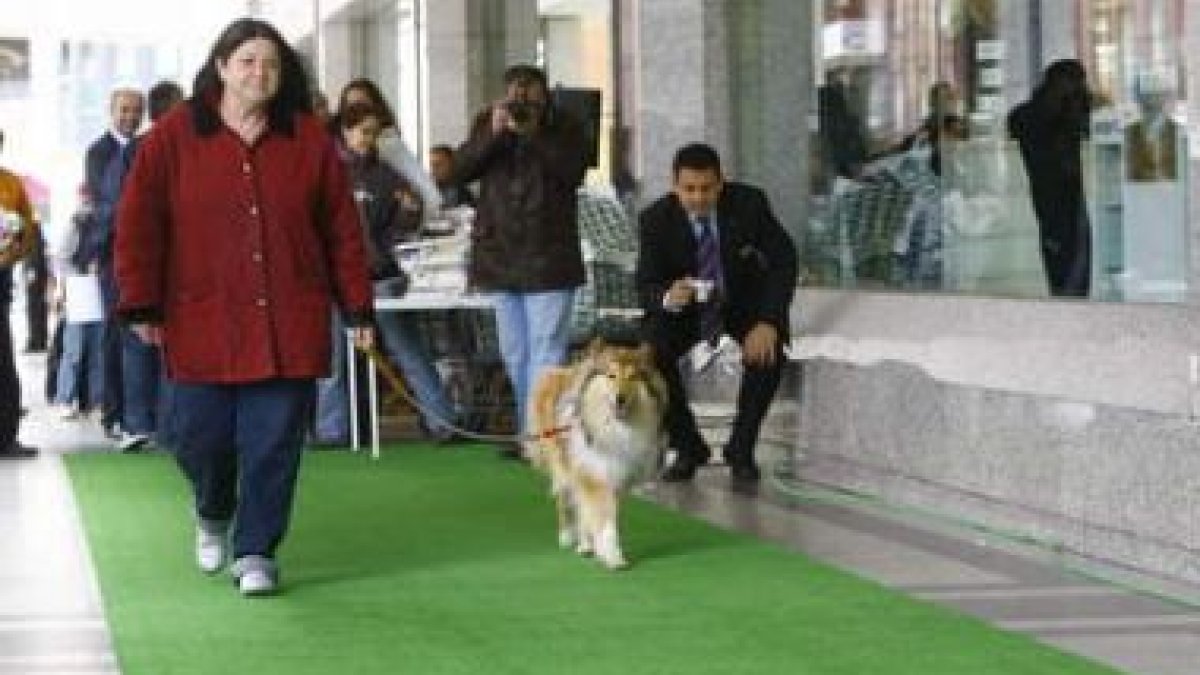El Corte Inglés dedicó ayer una jornada al desfile de mascotas .