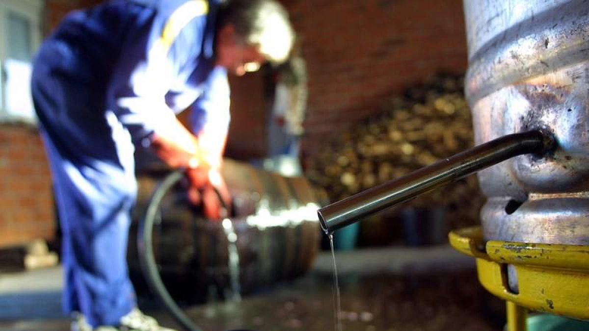 Los residuos del procesado del orujo son muy ricos en compuestos bioactivos. jesús f. salvadores