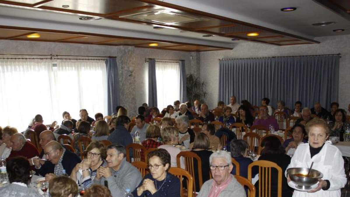 CAMPOS