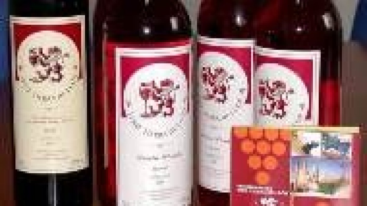 Los Vinos de Calidad Tierra de León han completado su reconocimiento
