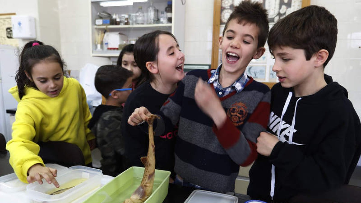Escolares de cuarto de Primaria del CRA Maestro Emilio Alonso de Lorenzana en un laboratorio de la Facultad de Ciencias Biológicas y Ambientales.