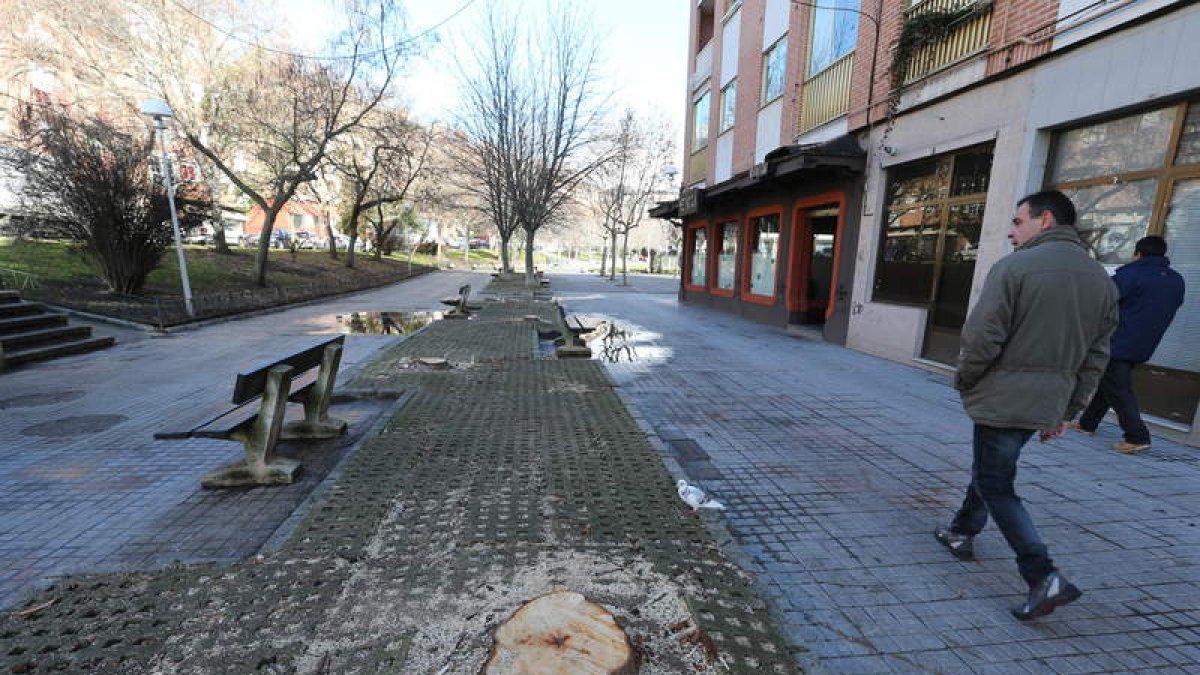 Aspecto que presentaba ayer por la mañana el paseo ponferradino Nicolás de Brujas.