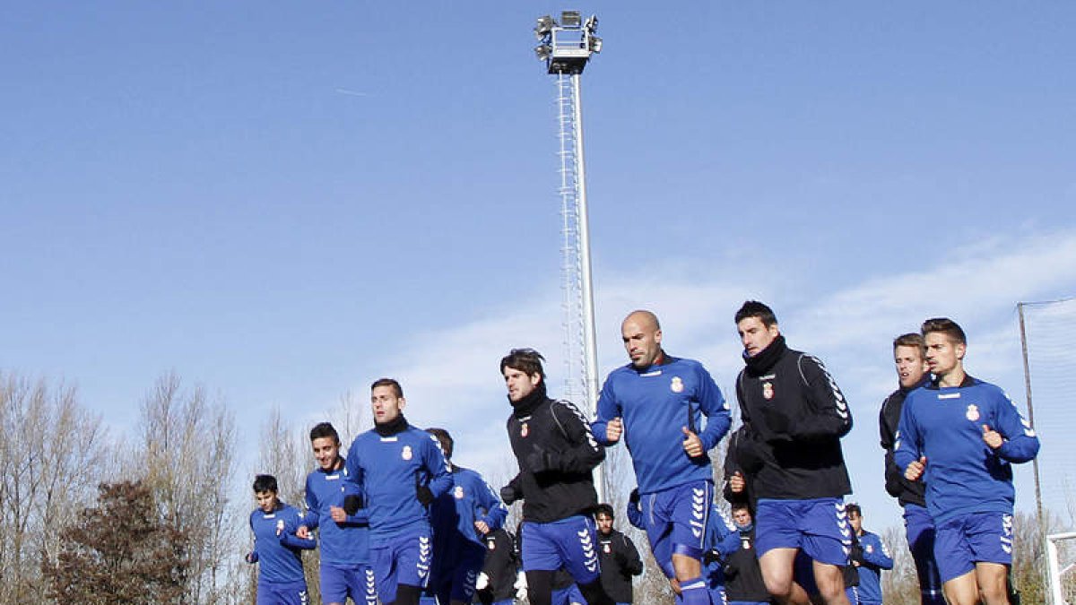 La plantilla de la Cultural pretende mantener el buen nivel mostrado frente al Avilés hoy ante el Zamora.